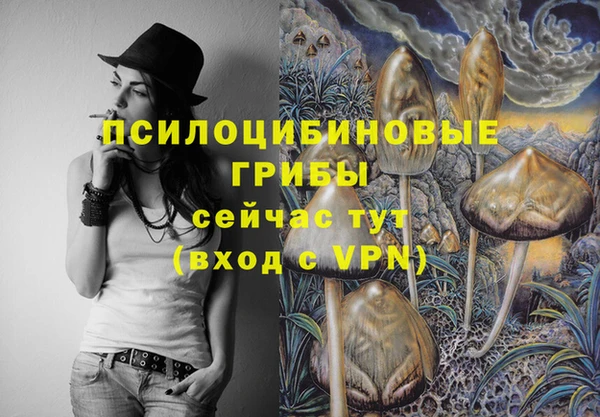 хмурый Абдулино