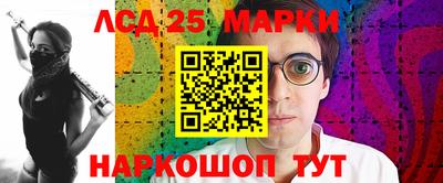 шишки Ставрополь