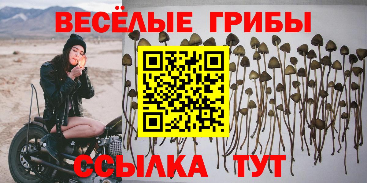 Галлюциногенные грибы Magic Shrooms Новочебоксарск