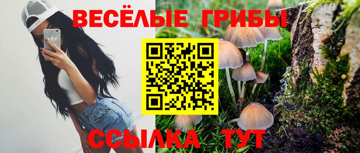 Новочебоксарск  Галлюциногенные грибы прущие грибы  наркота  Псилоцибиновые грибы ЛСД  Вход с VPN 